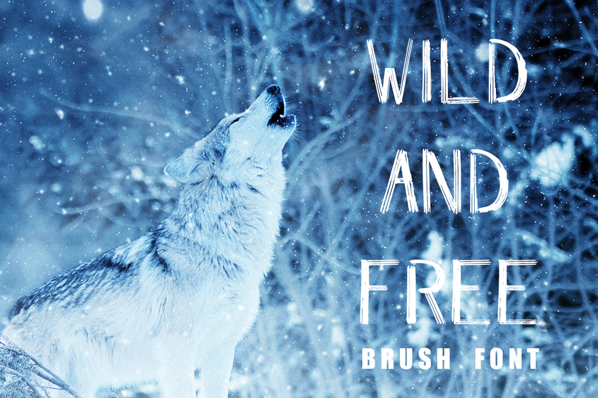 WILD & FREE Brush Font
