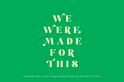 Filia Display Font, a Serif Font by Up Up Creative (Thumbnail 11 of 12)