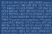 HU Mobydick KR / 20% OFF, a Sans Serif Font by heummdesign (Thumbnail 4 of 6)