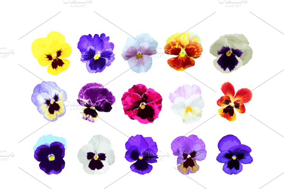 30 Pansy Flowers Clipart PNG, a Decorative Illustration by Sunset&Sea Design (Photo 2 of 2)