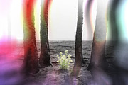 Aura Leak Photo Effect, a Layer Style Add-On by Design Squad (Thumbnail 4 of 4)
