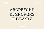 Methadone Modern Serif Font, a Serif Font by UICreative (Thumbnail 11 of 13)