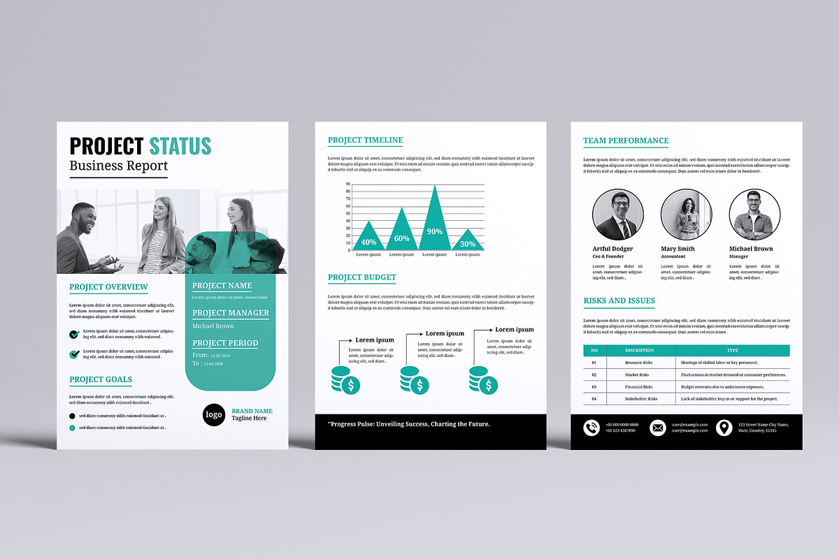 Business Project Status Report