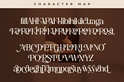 Chapters Ethorea A Modern Font Duo, a Serif Font by Storytype Studio (Thumbnail 14 of 15)