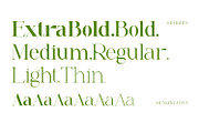Renabyl - Serif Family Font, a Serif Font by Rishsketch (Thumbnail 11 of 15)