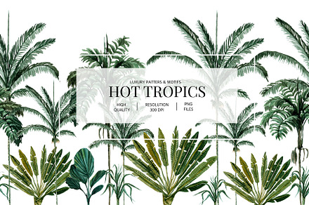 Hot Tropics