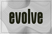 Evolve Sans Serif Display Type, a Font by Kelsey Benedict Design (Thumbnail 1 of 9)