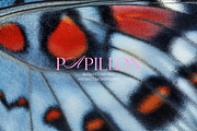 PAPILLON | Abstract Textures, a Texture Graphic by Ann Creative (Thumbnail 6 of 10)