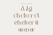 Agathe | Luxury Serif Font, a Serif Font by Mahesans Co (Thumbnail 7 of 10)