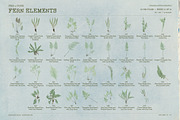 Fern & Paper Archive, a Background Graphic by nadispasibenko (Thumbnail 5 of 10)