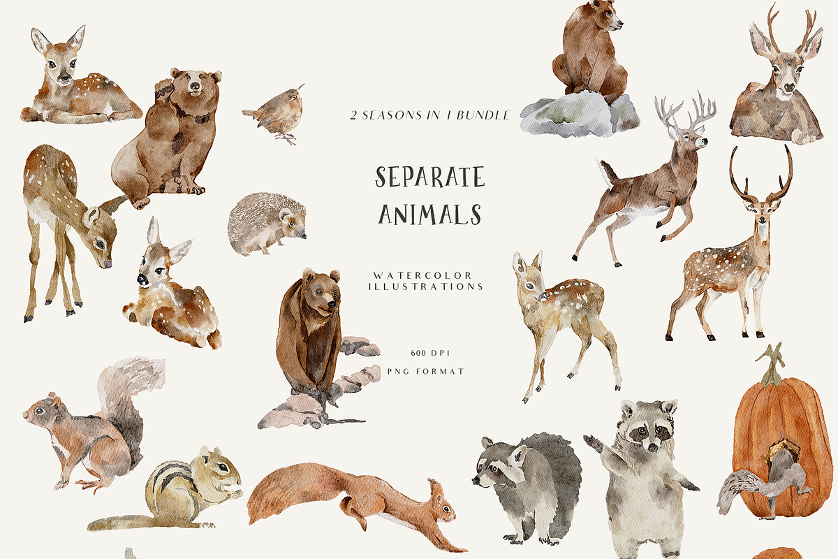 Fall & Winter Woodland Animals set, an Animal Illustration by Grace Noboa Illustrations (Photo 11 of 17)