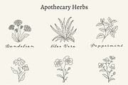 Holistic Medicine Line Icon Set, an Outline Icon by NatalieArtShop (Thumbnail 10 of 15)