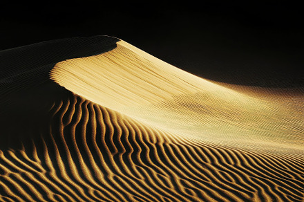Rippling sand dunes bathed in sunlig, a Photo by Iftikhar Alam