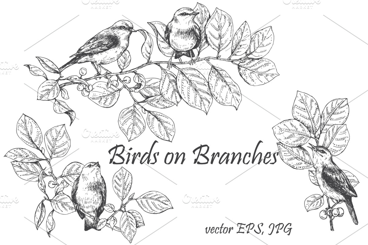 Birds on Branches Sketch, a Decorative Illustration by Valentyna Smordova (Photo 1 of 9)