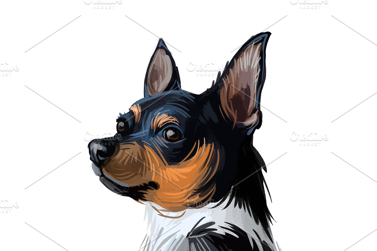 55 Dog Breeds Popular in USA, an Animal Illustration by Dneprstock (Photo 9 of 14)