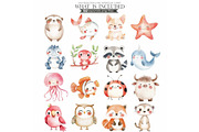 Cute Animals Watercolor Clipart Set, an Animal Illustration by CharmClipart (Thumbnail 6 of 20)