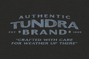 Badge Sans | Vintage Display, a Sans Serif Font by StudioWorks (Thumbnail 5 of 10)
