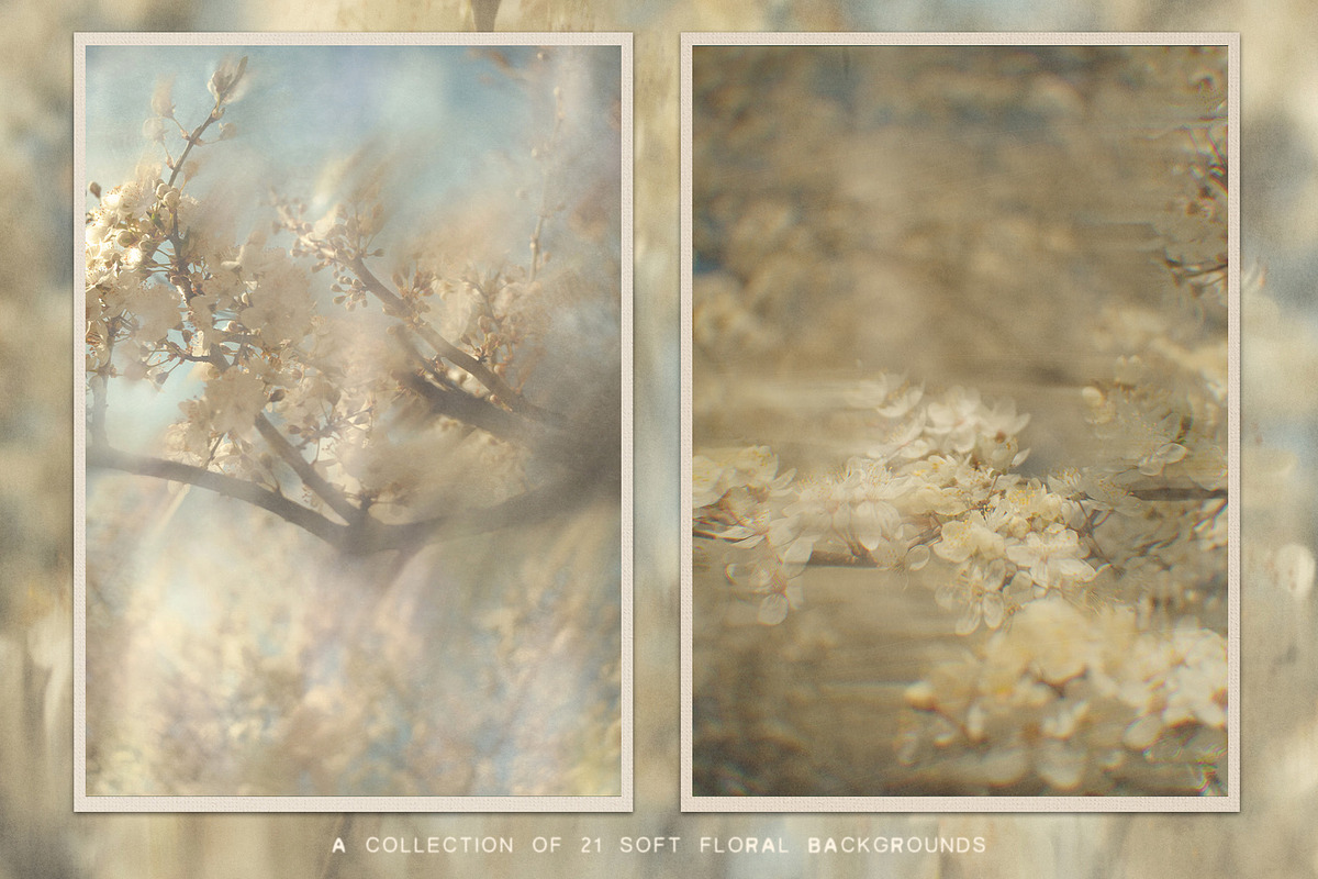 Plum Blossom Floral Backgrounds, a Background Graphic by lerinartstudio (Photo 3 of 11)