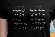 The Breakdown, a Handwritten Font by StereoType (Thumbnail 6 of 6)