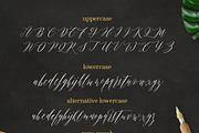 Fitri Script, a Script Font by JROH Creative (Thumbnail 7 of 8)