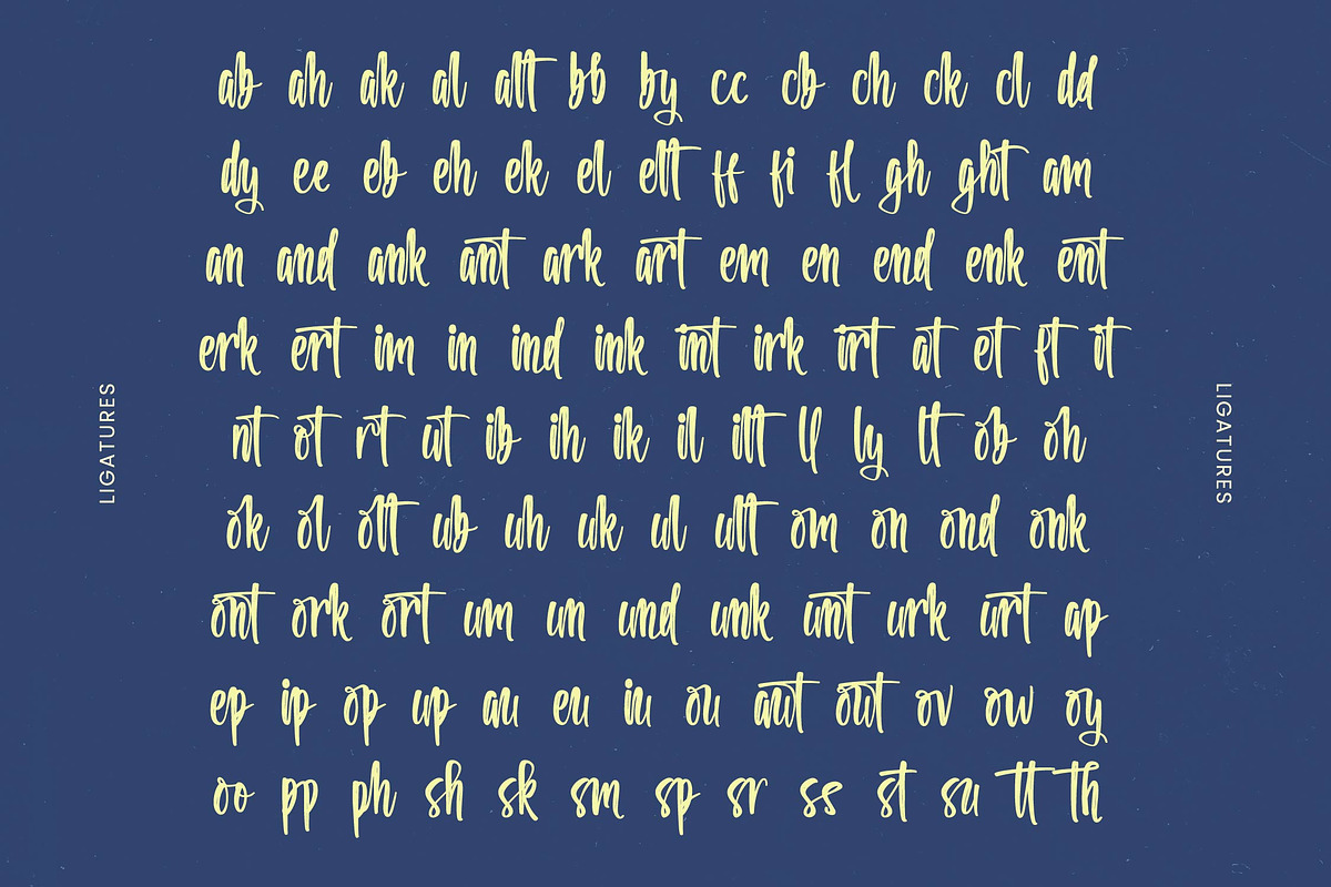 Setalking Bold Brush Font, a Script Font by stylishtype.co (Photo 19 of 20)
