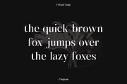 SS Default Lingo - Display Mix Font, a Serif Font by Typocracy Studio (Thumbnail 9 of 12)
