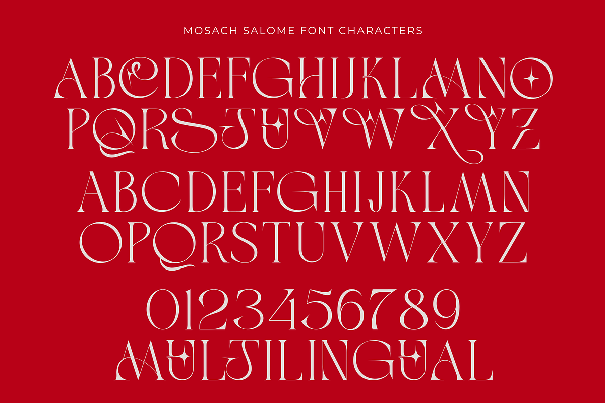 Maison Salome, a Serif Font by zeenesia (Photo 15 of 16)