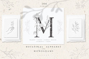 Botanical Alphabet & Monograms., a Decorative Illustration by Designwork (Thumbnail 1 of 18)