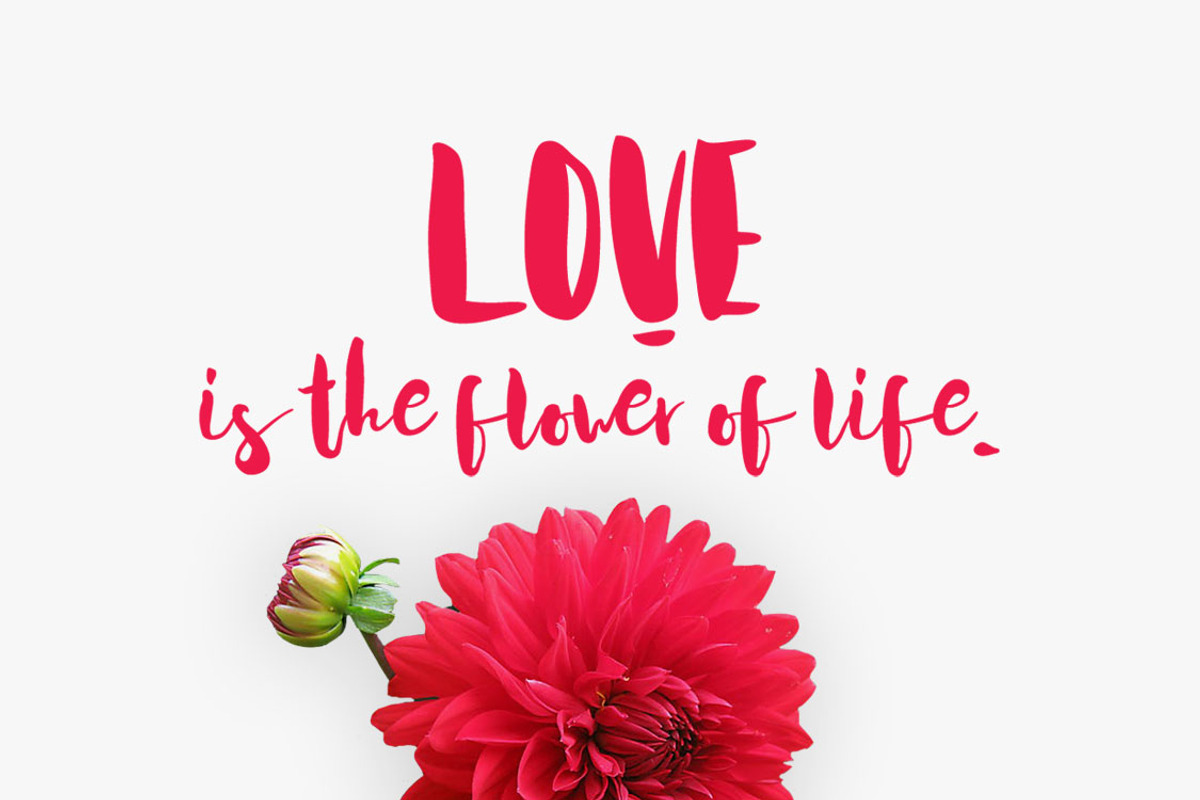 Acquainted Script Brush Font preview 2