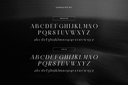 Genekist - Serif Font, a Font by Sronstudio (Thumbnail 11 of 13)