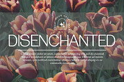 Lepston, a Sans Serif Font by Pista Mova (Thumbnail 6 of 9)