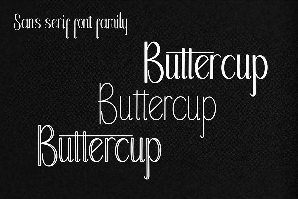 Buttercup, a Sans Serif Font by PollemSt (Photo 2 of 7)