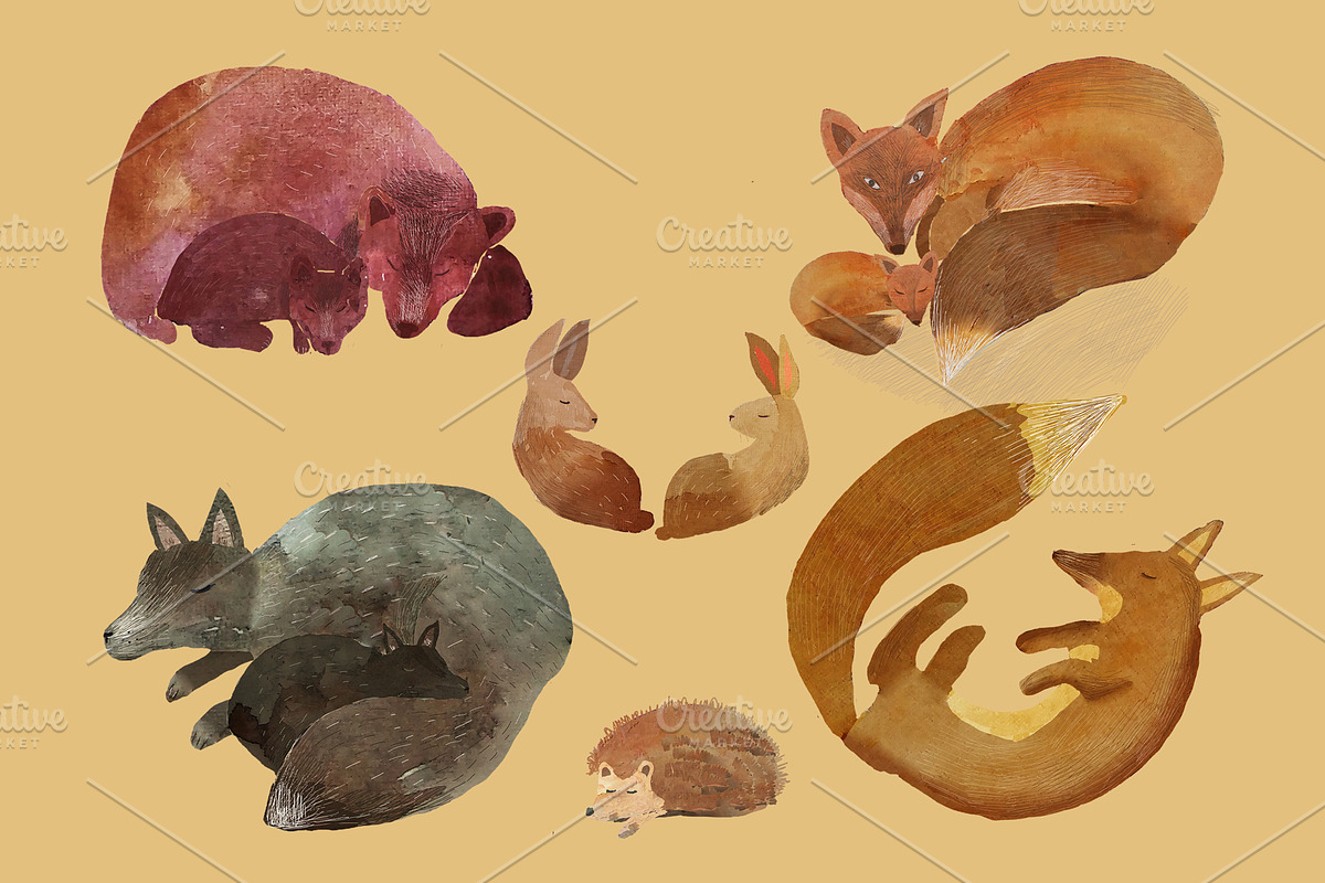 Animals Bundle Watercolor, an Animal Illustration by watercolor kamill (Photo 7 of 13)