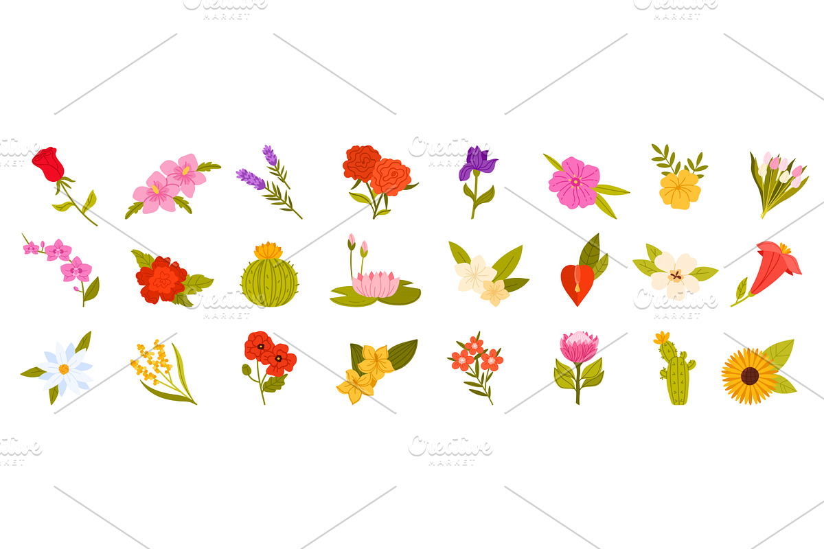 Different flowers of world set, an Object Illustration by Flashvector