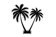 Palm Silhouette Clipart Set, an Illustration by hafijul (Thumbnail 19 of 21)