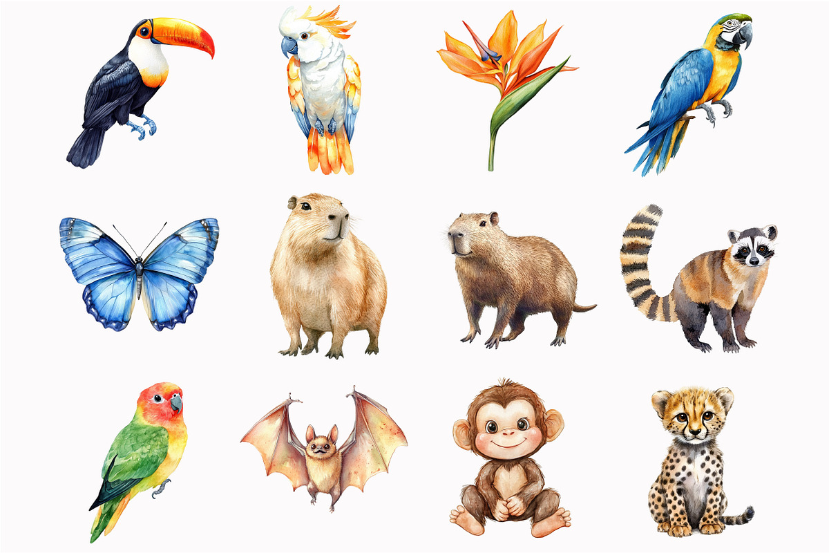 Rainforest Animals Clipart, an Illustration by Design Market (Photo 4 of 5)