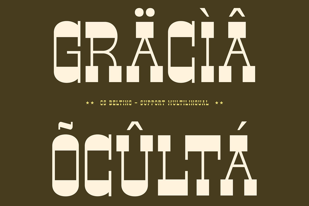 CS Belting – Slab Serif Font, a Slab Serif Font by Craft Supply Co. (Photo 5 of 8)