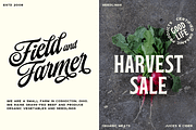 Paper Tiger Victorian Font Madness, a Script Font by Fenotype (Thumbnail 9 of 14)