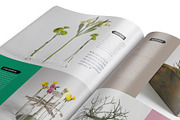 Magazine Template InDesign 16, a Magazine Template by Love Graphic Design (Thumbnail 5 of 20)