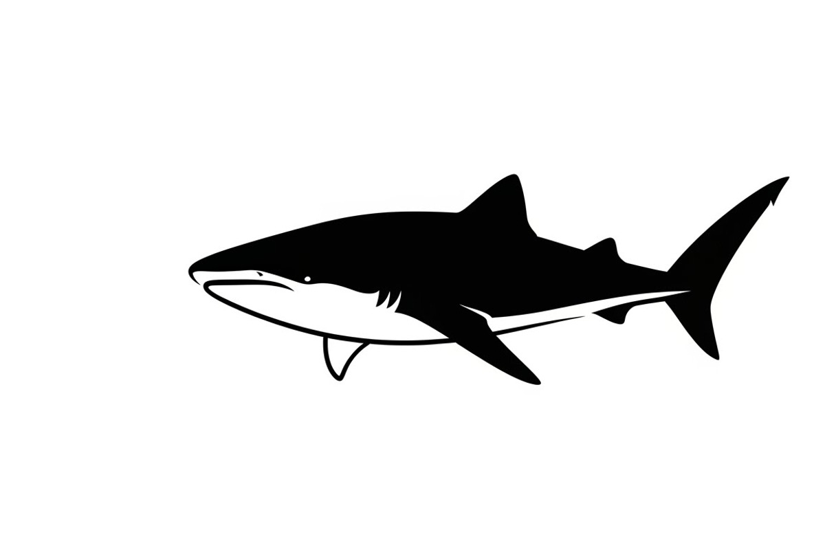 Ocean Marine Animal Silhouette, an Illustration by Amazin_art (Photo 6 of 31)