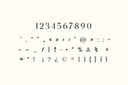 Ethereal Beauty Makeup Serif Font, a Serif Font by UICreative (Thumbnail 3 of 13)