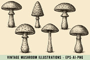 Vintage Mushroom Illustrations, an Illustration by Cool Worker (Thumbnail 1 of 3)