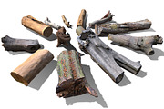 13 Tree Logs, an Environmental 3D Model by Beatheart Creative Studio (Thumbnail 17 of 37)