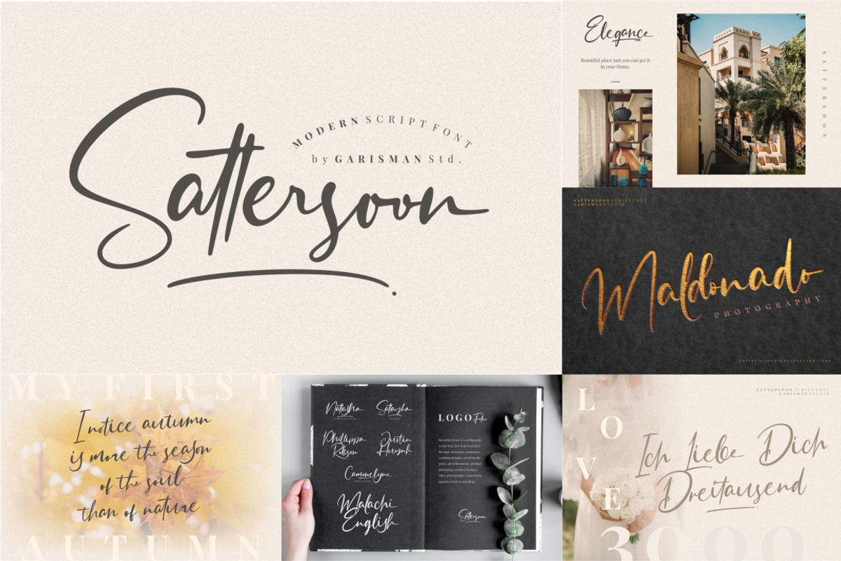 The MEGA FONT COLLECTIONS 2021, a Serif Font by Garisman Std (Photo 10 of 52)