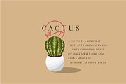Medifa Font | Beautifull Serif Font, a Serif Font by WhymoreArt (Thumbnail 3 of 10)