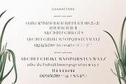 The Bright Lake Font Duo + Logos, a Serif Font by SNIPESCIENTIST (Thumbnail 30 of 31)