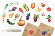 Watercolor VEGETABLES illustrations, a Decorative Illustration by GevelStudio (Thumbnail 3 of 9)