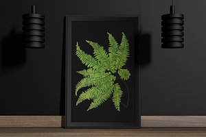 Botanical Illustrations - 40 PNG