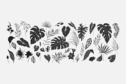 Tropical collection, a Decorative Illustration by Merfin (Thumbnail 8 of 10)