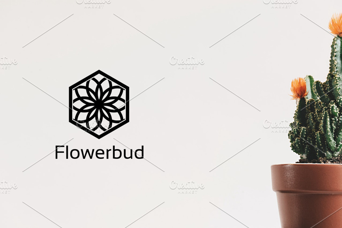Hexagon Logo Premade, Big Bundle, a Branding & Logo Template by Artha Desain (Photo 4 of 11)